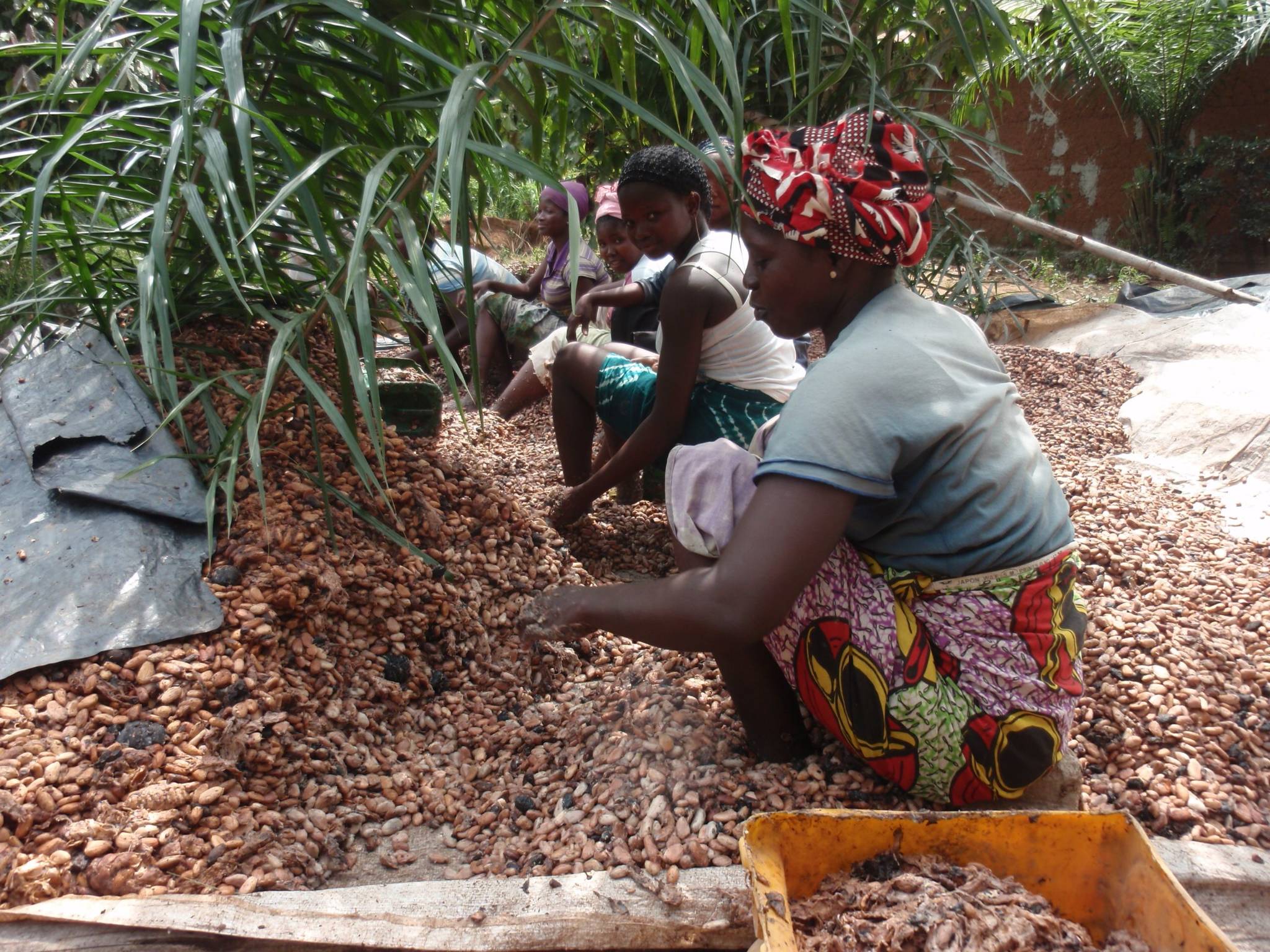 Côte d'Ivoire - OPEC Fund for International Development