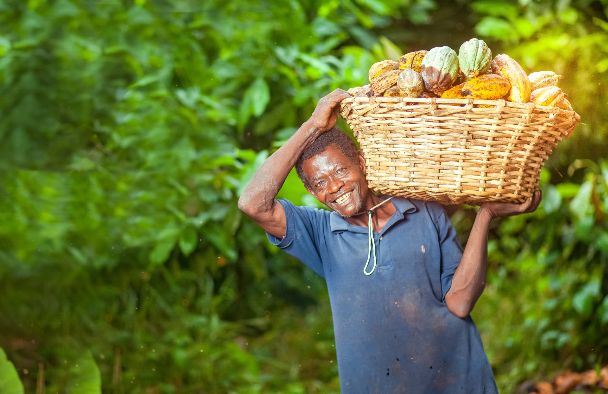 Charles William Adofo / Shutterstock.com