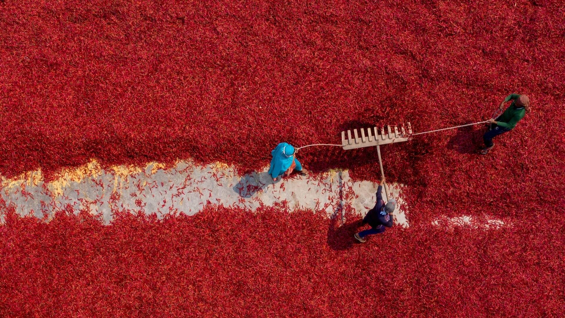 2026_OFQ2_red rake.jpg
