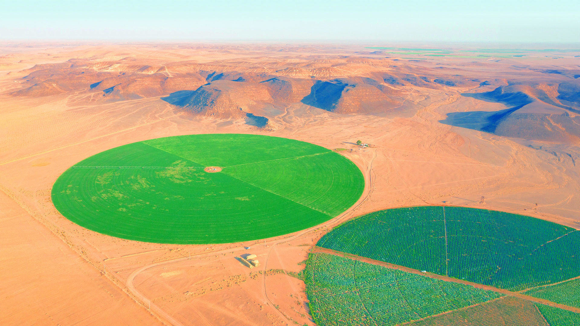 2025_OFQ2 Circular desert farming.jpg 2025_OFQ2 Circular desert farming.jpg