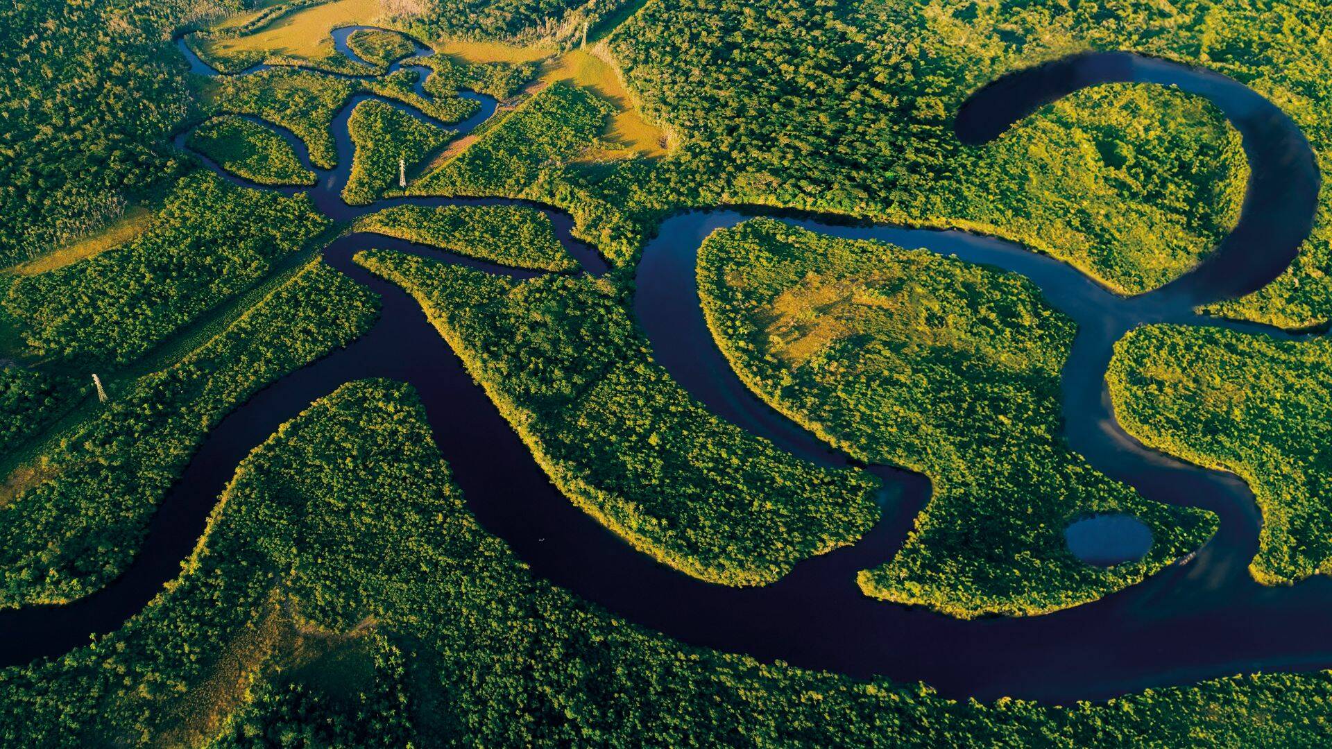 2025_OFQ3_ Amazon.jpg