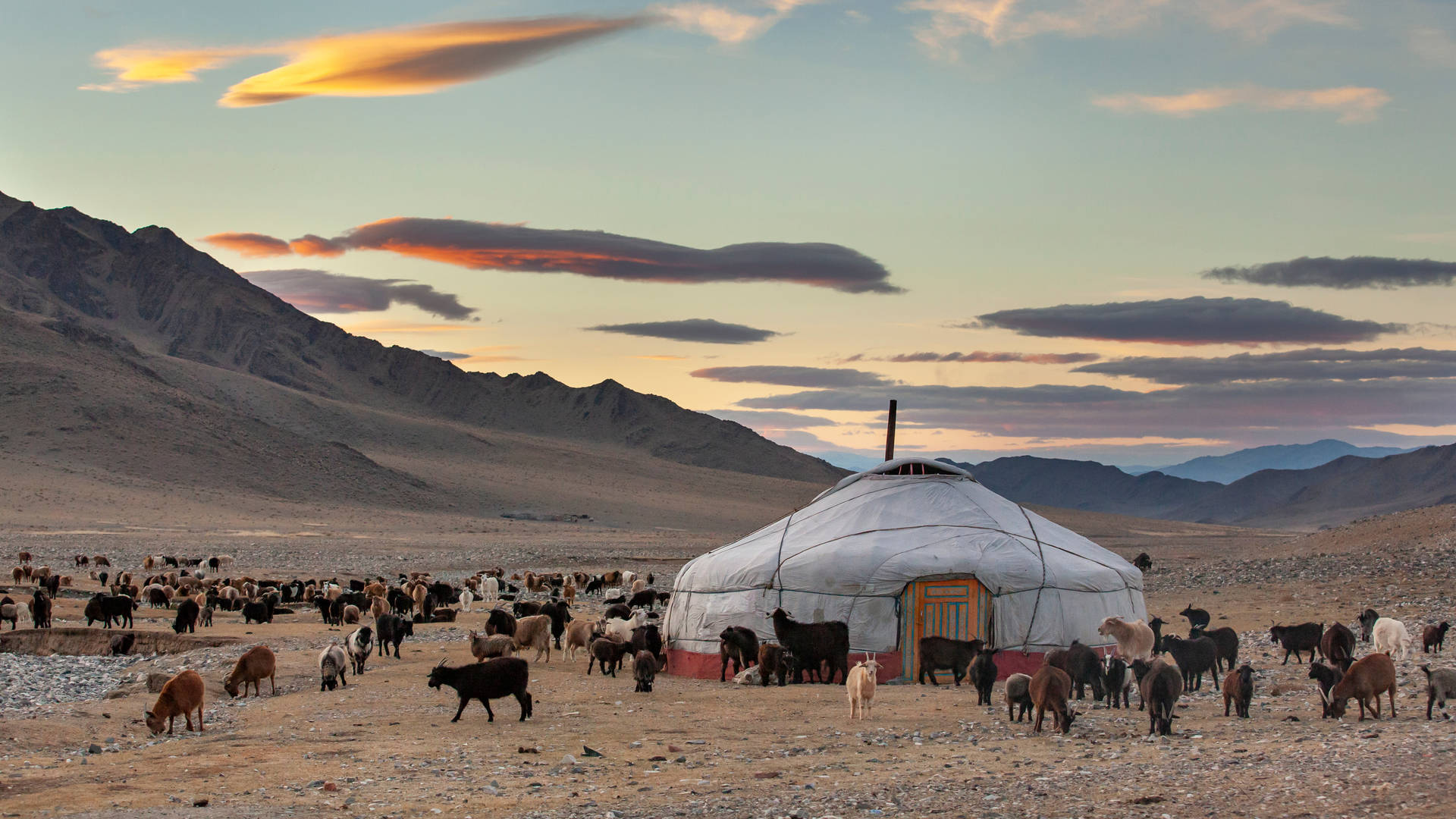 2024_OFQ1_yurt.jpg