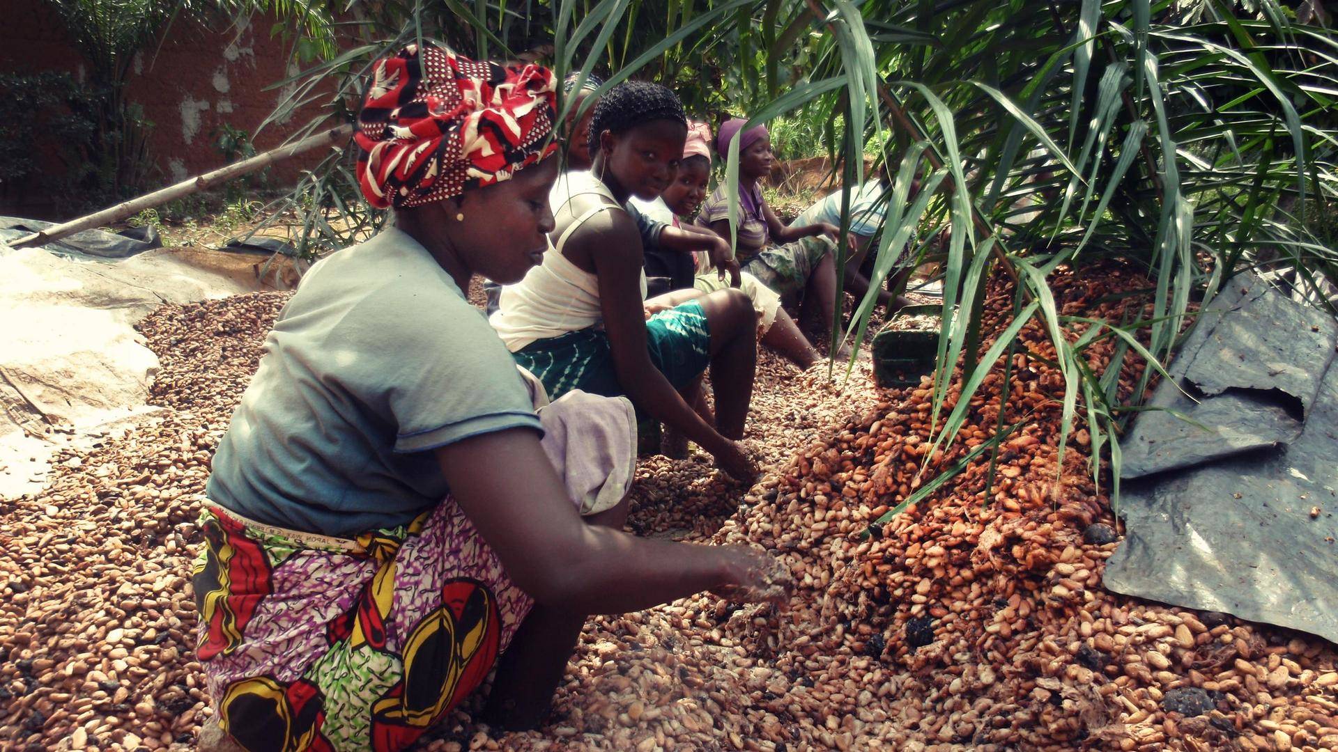 Côte d'Ivoire - OPEC Fund for International Development