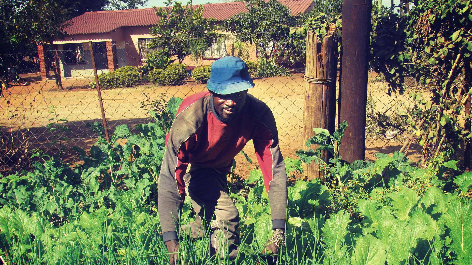 2022_OQ3_Zimbabwe farmer.jpg