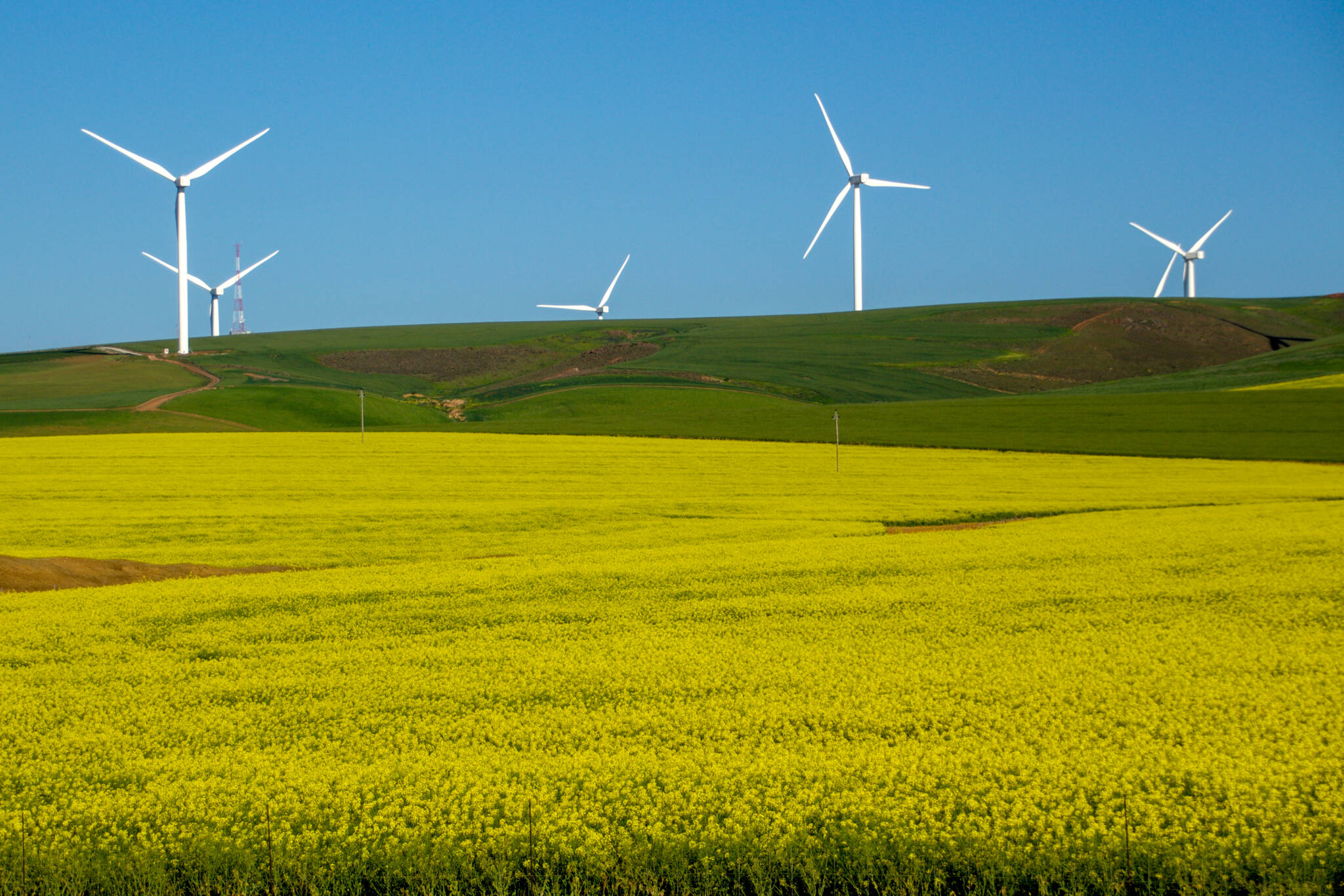 wind turbines in south africa