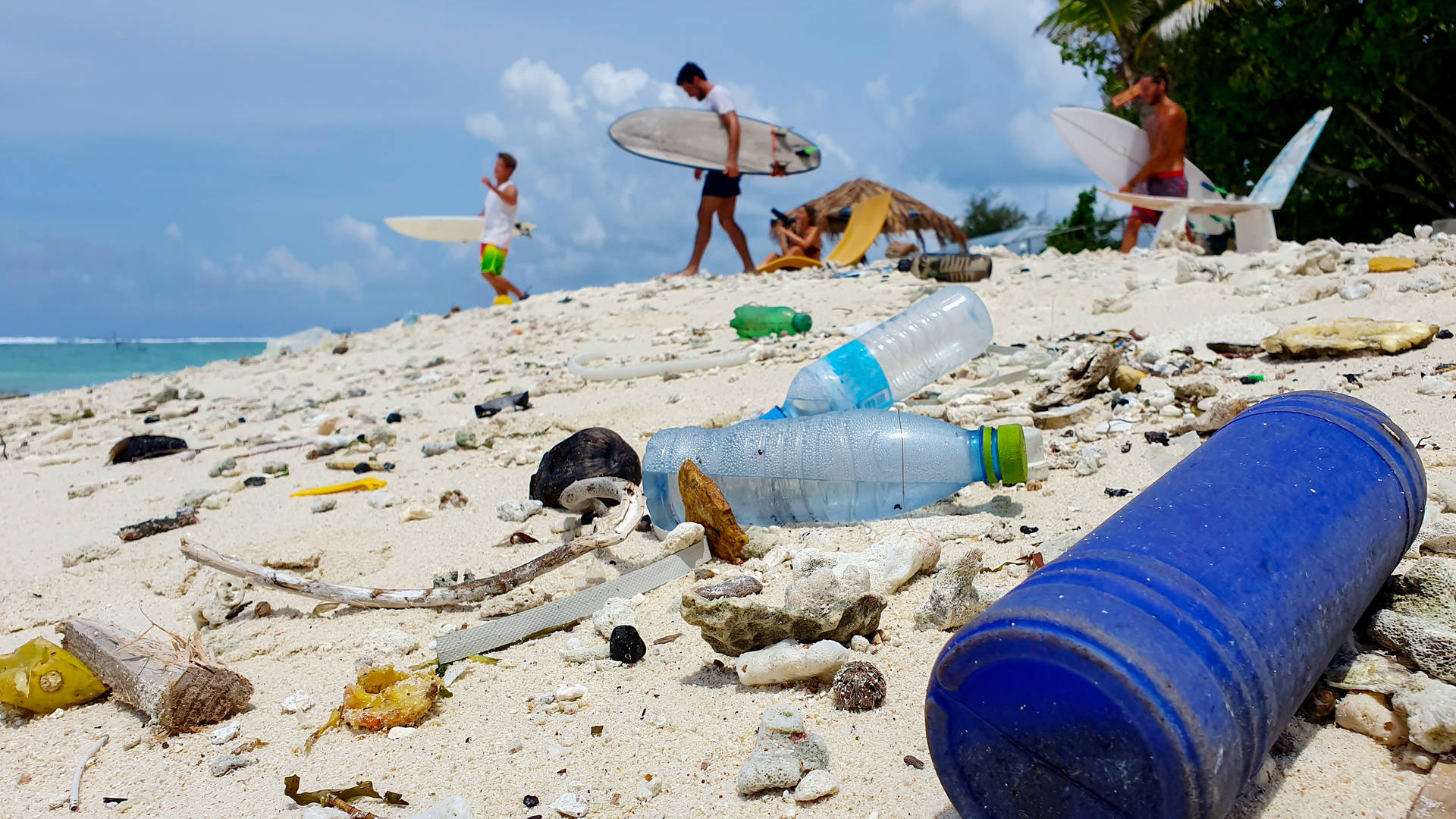 2025_OFQ2_Trashy beach.jpg 2025_OFQ2_Trashy beach.jpg