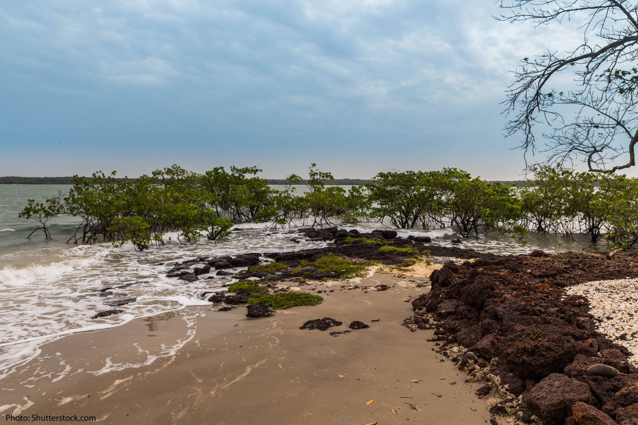 Guinea Bissau's wetlands are home to a rich array of biodiversity.