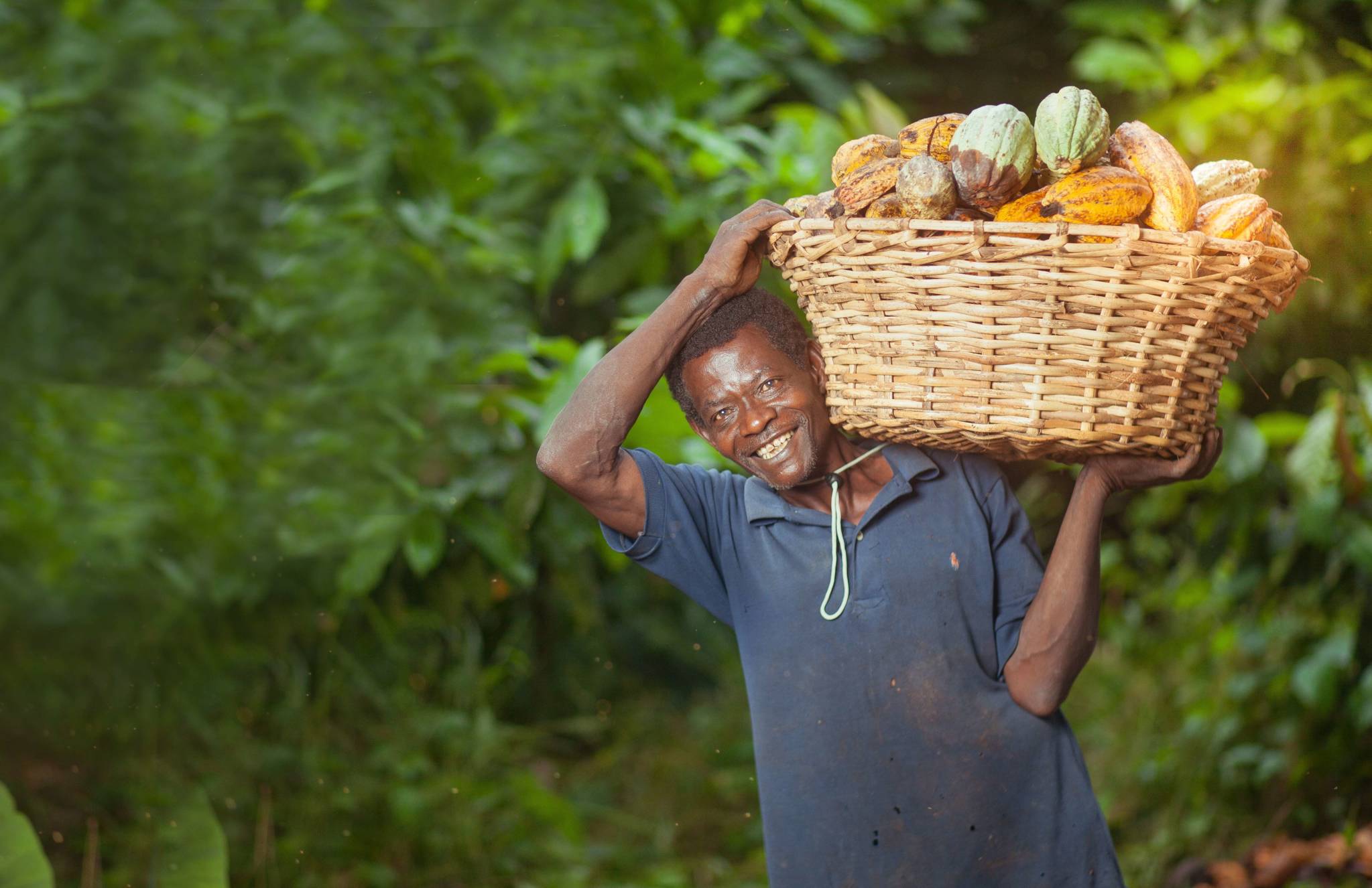 Photo: Charles William Adofo/Shutterstock.com