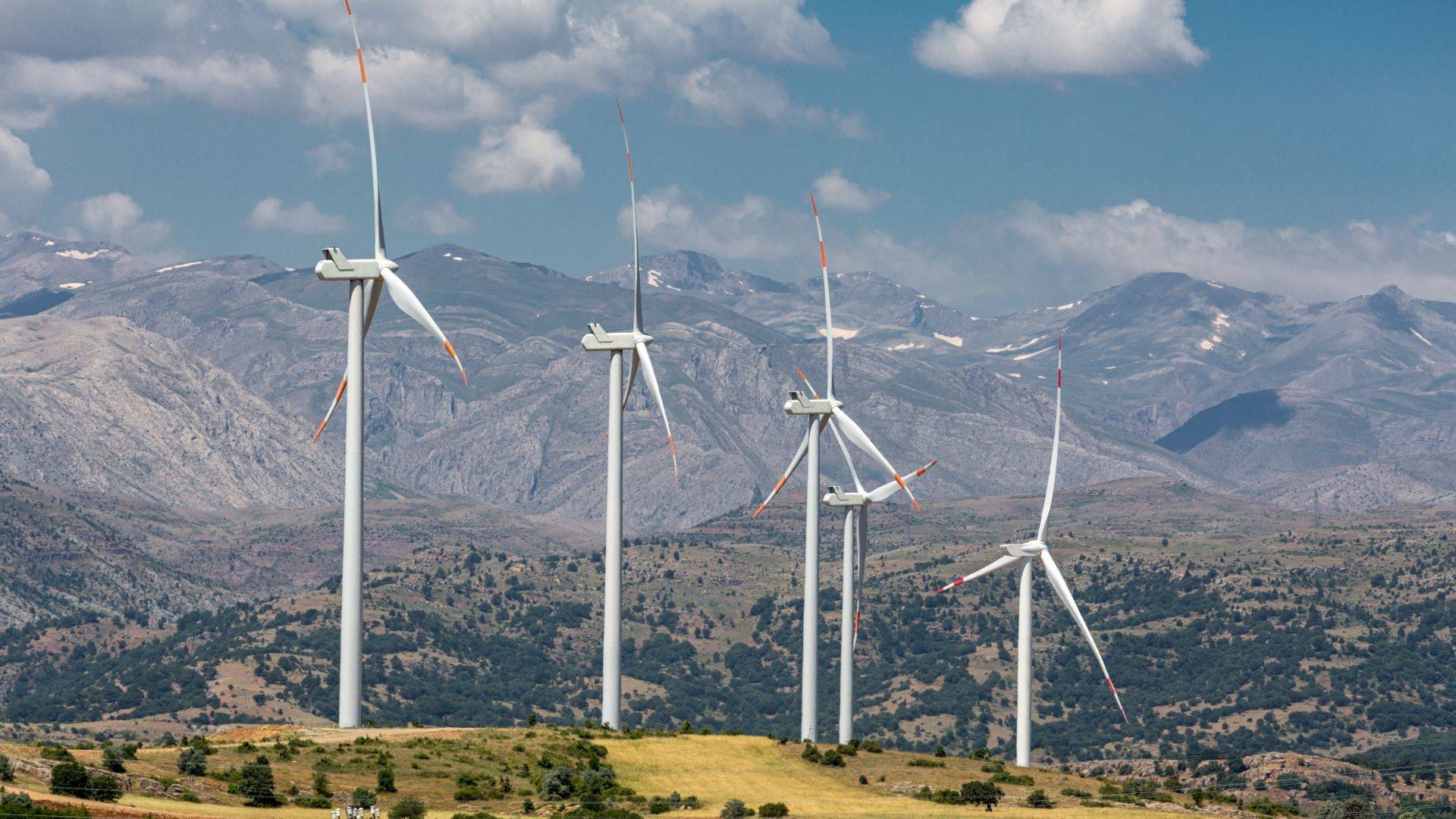 2024_EN08_Windmills.jpg