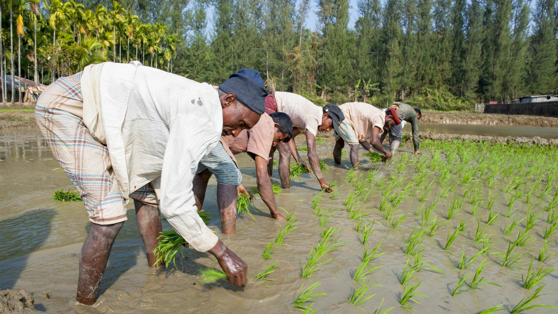 2025_EN25_Bangladesh farmers.jpg