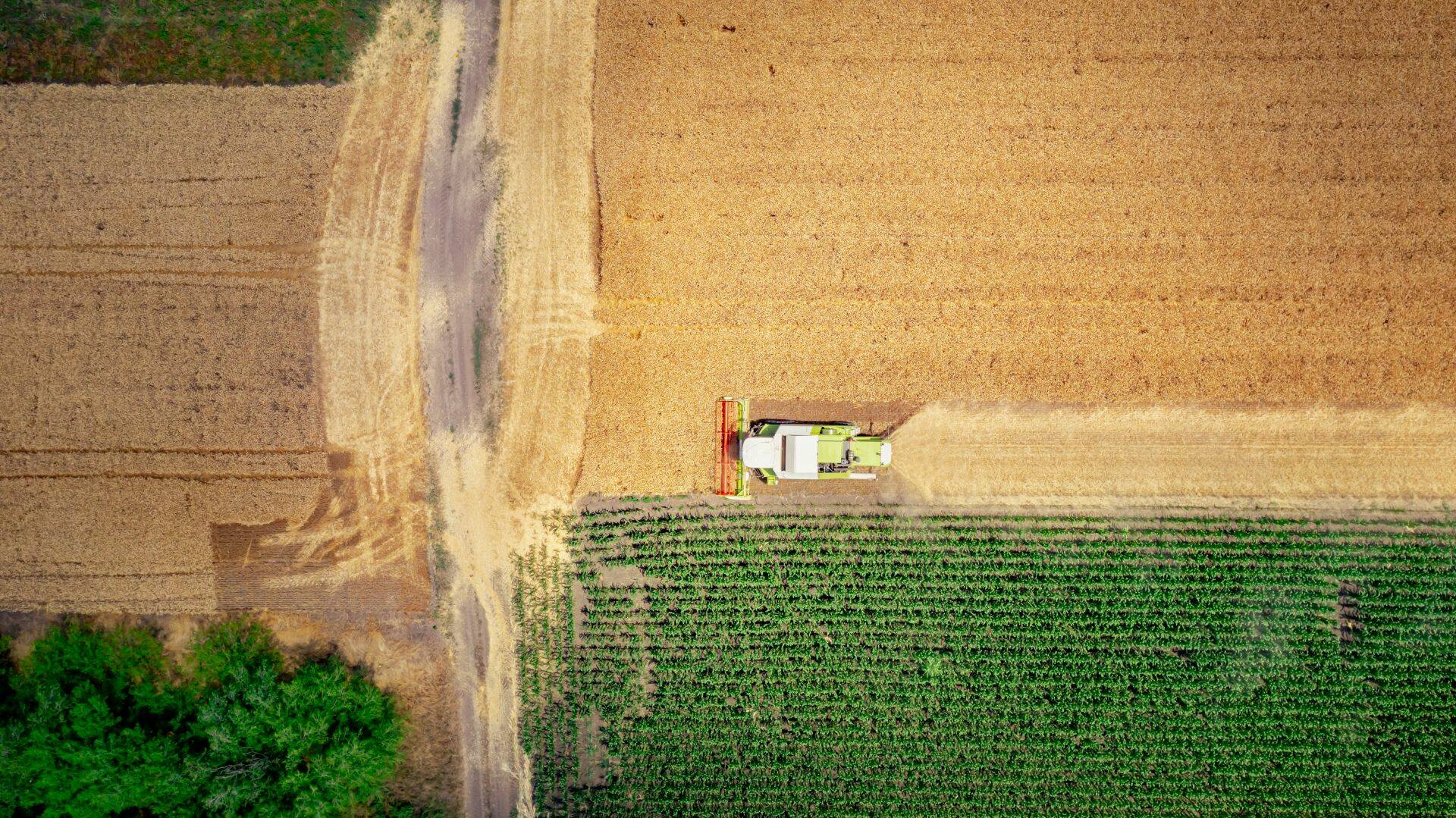 2025_E38_farm overhead.jpg