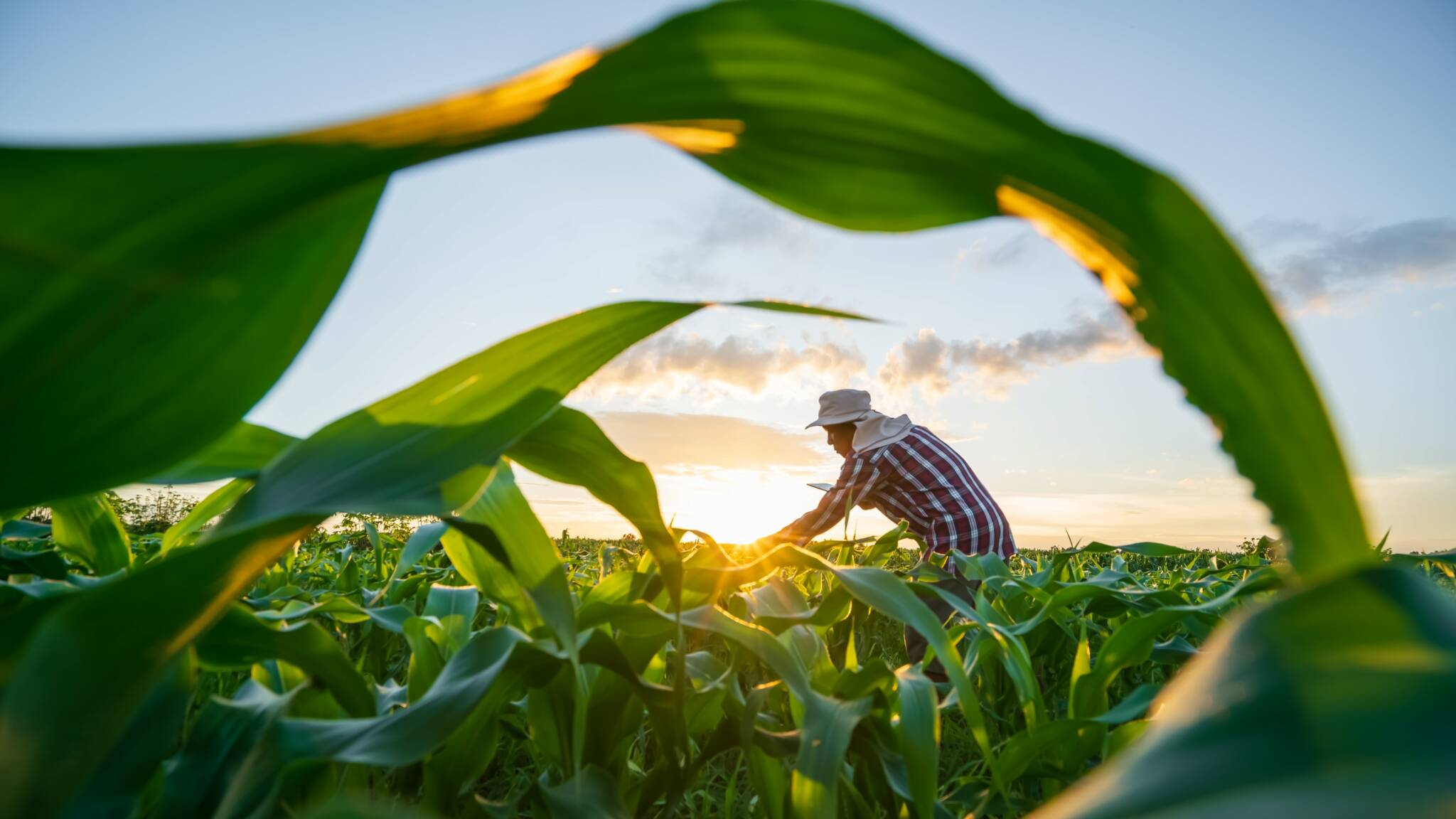 2025_EN26_farmer.jpg