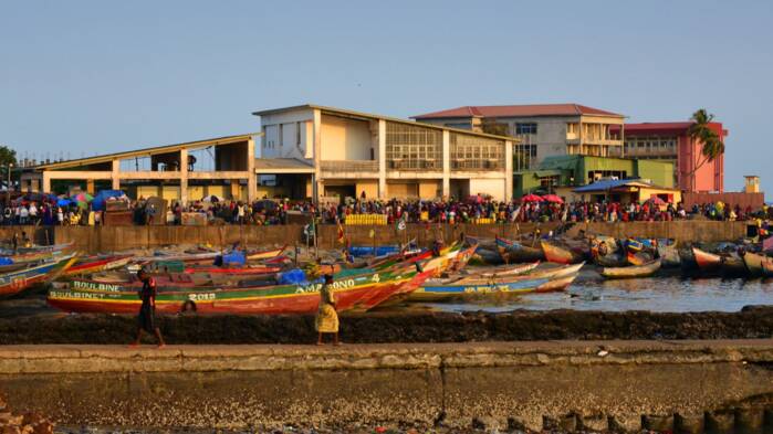 2026_OFQ3_Guinea.jpg