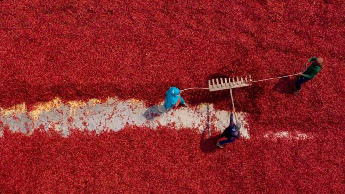 2026_OFQ2_red rake.jpg