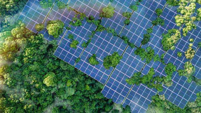 2025_OFQ2 solar panel.jpg 2025_OFQ2 solar panel.jpg