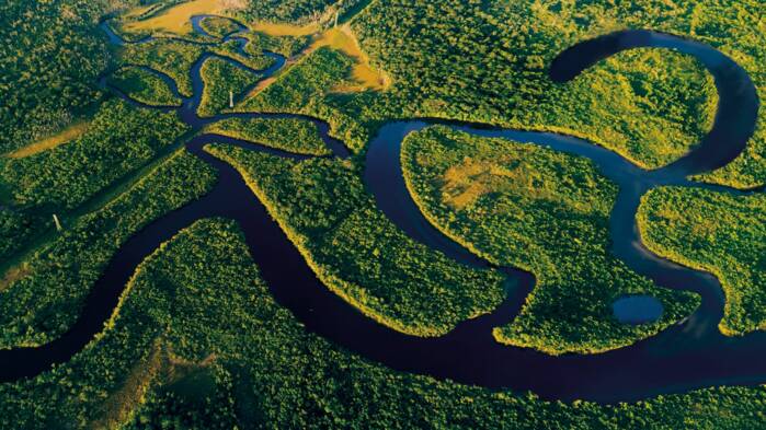 2025_OFQ3_ Amazon.jpg