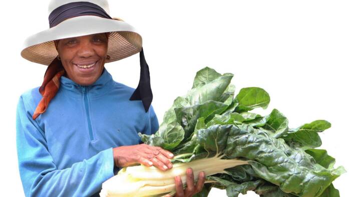 2025_OFQ3_lady with plant.jpg