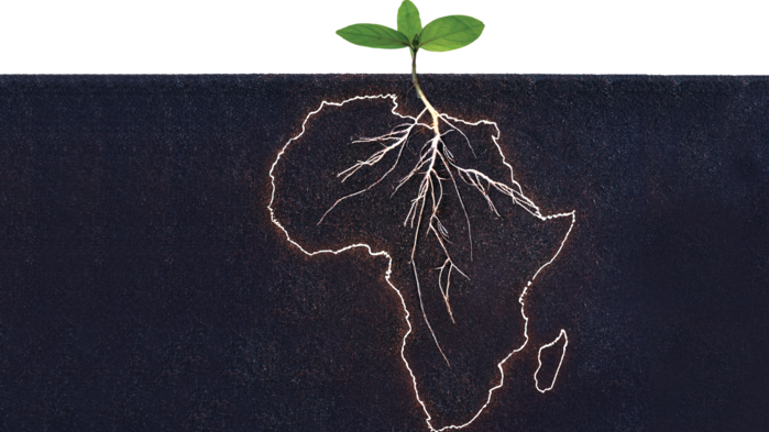 2026_OFQ2_Africa roots.png