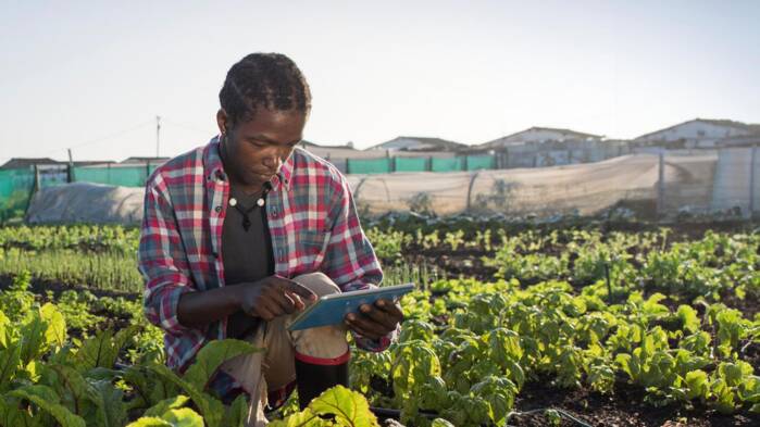 2026_OFQ2_farmer in field.jpg