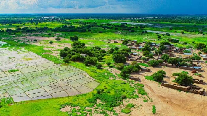 2025_Chad rice.jpg 2025_Chad rice.jpg